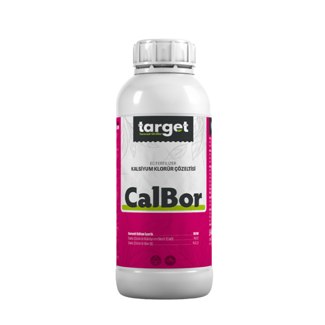CalBor